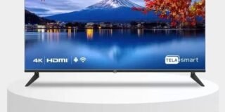 337402176_1302741293616479_4652943655664171143_n