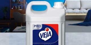 337530202_233970782330357_8714232777352788007_n