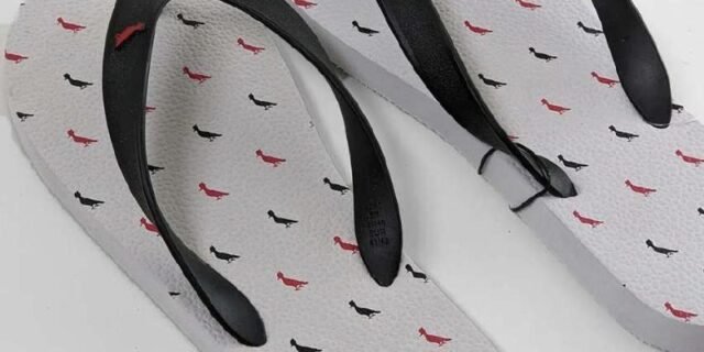 Chinelo Reserva All Pica Pau Masculino