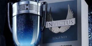 337547828_542639924653940_8769371812416237043_n