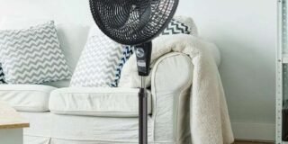 337655503_708757071028436_5584961786654783156_n