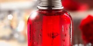 337681386_788146049585100_9040085378125789963_n