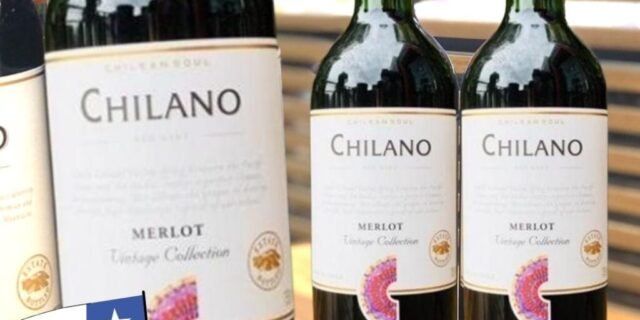 Vinho Chileno Chilano Tinto Merlot 750ml Chilano