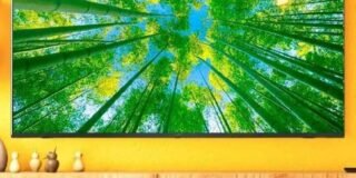 338028814_102479979477327_2660694225258049593_n