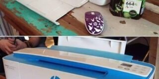 338336179_599615888886529_974570467423010669_n