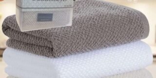 338417970_1258493301708183_6508339997268215001_n