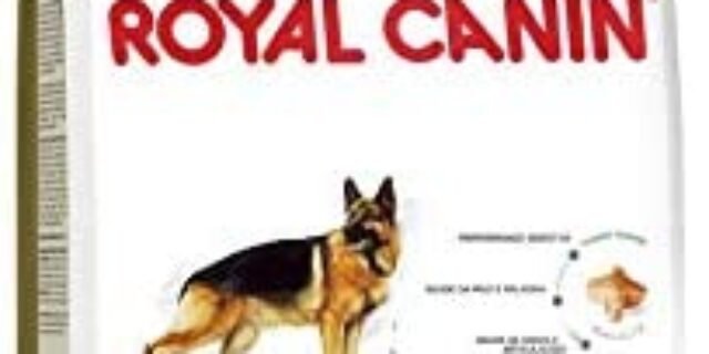 Ração Royal Canin Pastor Alemão para Cães Adultos – 12Kg