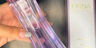 336035740_938820203976078_6686154583311215783_n