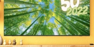 336735890_781525833397860_3272406558420826367_n