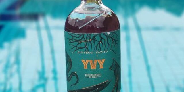 Yvy Gin Terra 750 ML
