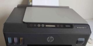 340618783_244904118101423_2620850721798451143_n