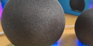 340775436_641969594419898_735775885339594818_n