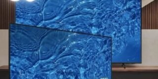 340818950_1682125582245032_3004968136476670731_n