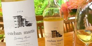 340849269_1199666804061043_5970711699727923087_n