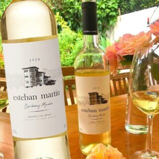 Vinho Branco Esteban Martín D.O.P. Cariñena Chardonnay Macabeo Blanco 750 ml Bodegas Esteban Martin Chardonnay