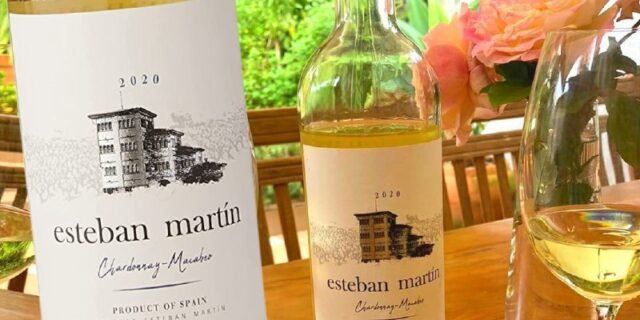 Vinho Branco Esteban Martín D.O.P. Cariñena Chardonnay Macabeo Blanco 750 ml Bodegas Esteban Martin Chardonnay