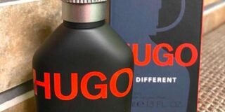 341001193_544235771190966_4294521494971707906_n