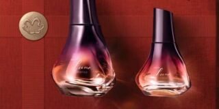 341519388_247021864471152_7364966489175313276_n