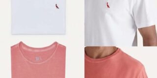 342203191_1987314458282159_6002250687403331130_n