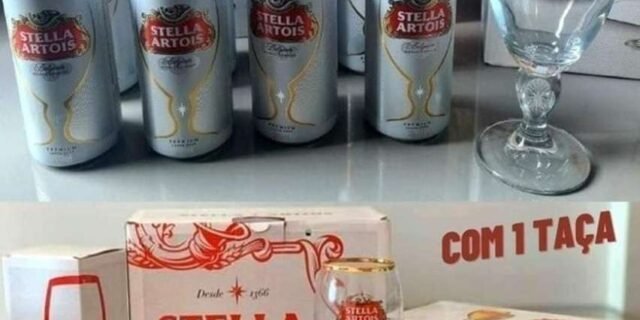 Kit Cerveja Stella 269ml C/8 Latas + 1 Cálice 250ml