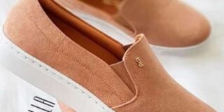 342209127_246399251286130_4789894700590063592_n