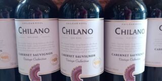 342221817_558588223072041_5877498503866900101_n