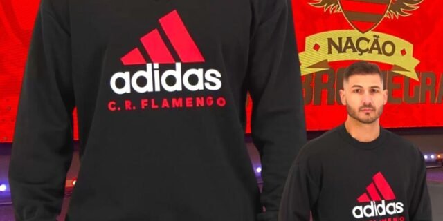 Blusa Moletom Flamengo DNA Adidas Masculina