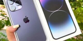 343187797_208024631934542_9179727501600931651_n