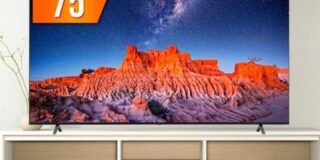 343317444_146438661559487_3645194575970969514_n