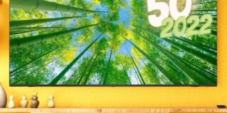 343409507_990102455319433_2588277227347689516_n