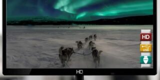 343581804_788194575771138_5987918713221334337_n