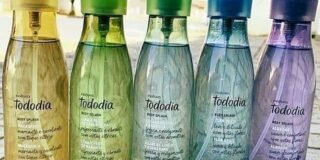 343753424_260246359863350_4107069977378348501_n