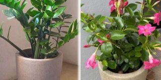 344689504_821280536196025_2510045253969553017_n