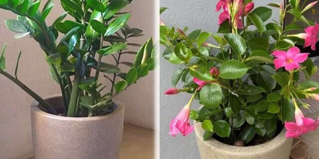 Vasart Malta Vaso de Flores Redondo, Granito Areia, 34x27cm ou Cone, Granito Areia, 30x40cm