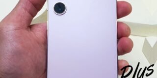 344770830_536306632046879_4603548965611878342_n