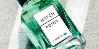 344854056_910542683543092_4880022557560602237_n