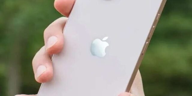 Apple iPhone 13 (256 GB)