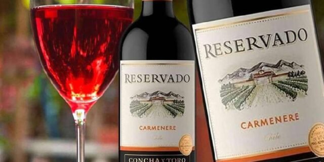 Vinho Chileno Reservado Carmenere 750ml