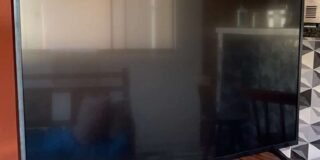 346286661_273620205004048_1807671170380656381_n