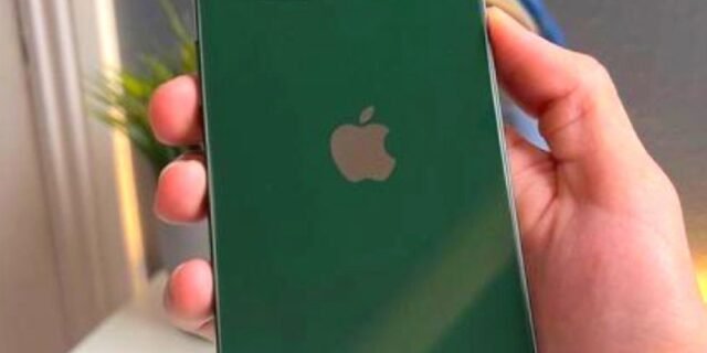 Apple iPhone 13 (256 GB)