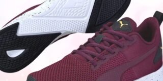 347602366_785374826591448_6938657310151113874_n