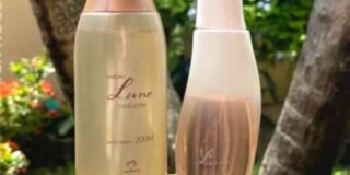 347617822_1627518037763230_4205200400903596468_n