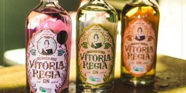 Gin Vitória Régia Organico 750ml (4 Opções)