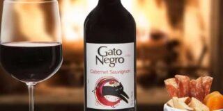 348859095_180971718241155_6866380324304270763_n