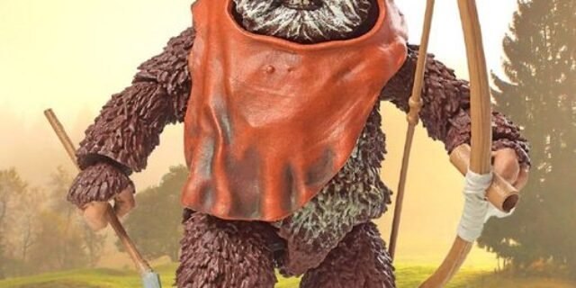 Boneco Star Wars The Black Series – Figura 15 cm com Acessório – Wicket