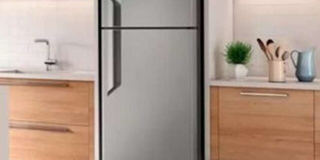 Geladeira/Refrigerador Electrolux Frost Free – Duplex Platinium 431L TF55S Top Freezer