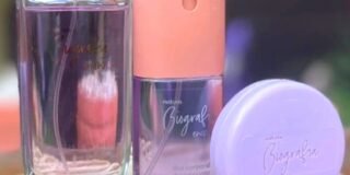 349082842_264338879431145_2628108386059252633_n