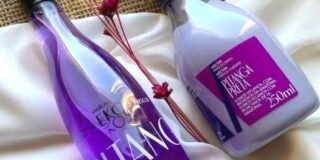 349124529_175542402145251_6557409572577625407_n