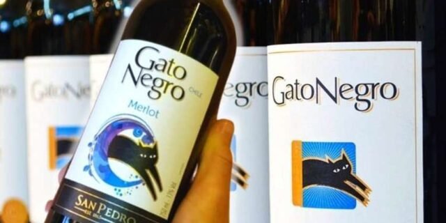 Vinho Gato Negro Merlot 750Ml