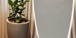 350113231_798577738272815_3488997056679147557_n